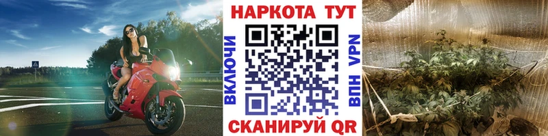 Канабис Кочубеевское