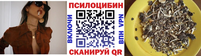 купить   Кочубеевское  гидра зеркало  Псилоцибиновые грибы Magic Shrooms 