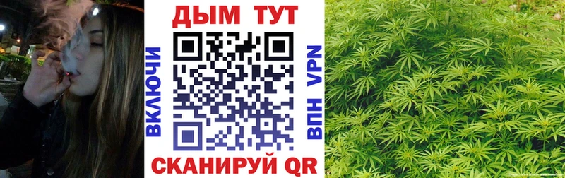 МАРИХУАНА VHQ  наркота  mega вход  Кочубеевское 